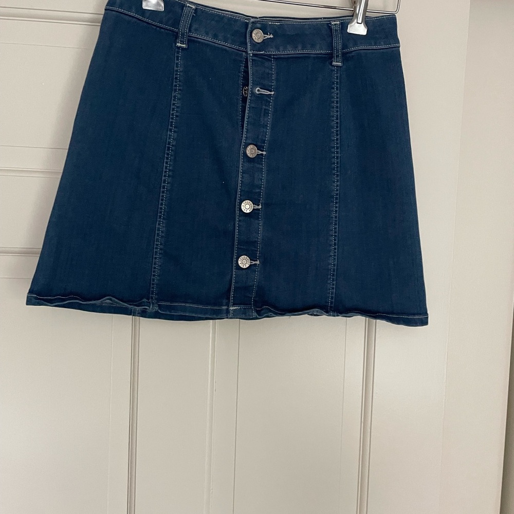 Celebrity Pink Blue Mini A-Line Skirt